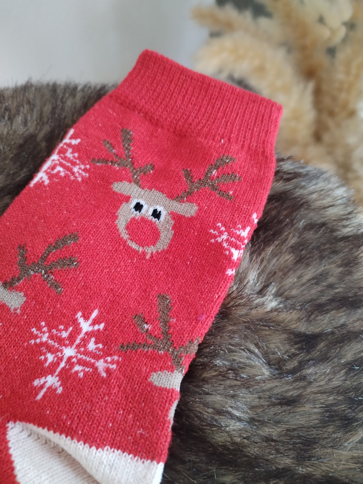 Süße Socken zur Weihnachtszeit